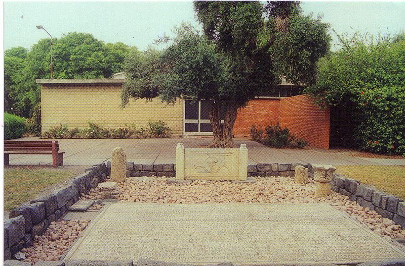 Файл:Rehov Mosaic Replica-2.jpg