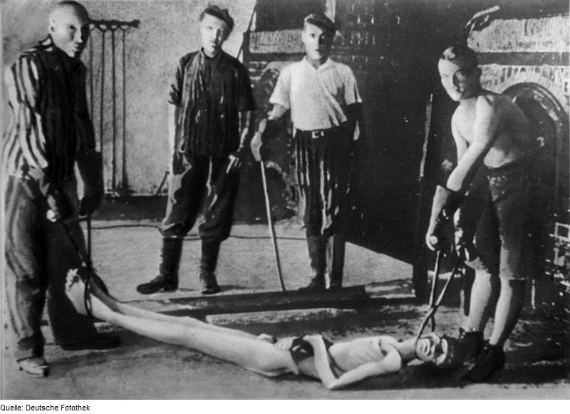 Файл:Fotothek df pk 0000125 008.jpg