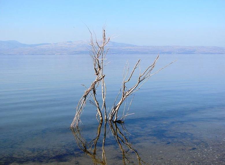 Файл:SeaofGalilee.jpg