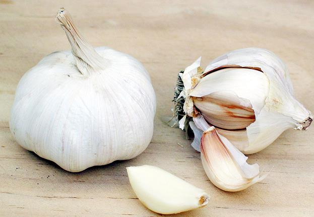 Файл:Garlic.jpg