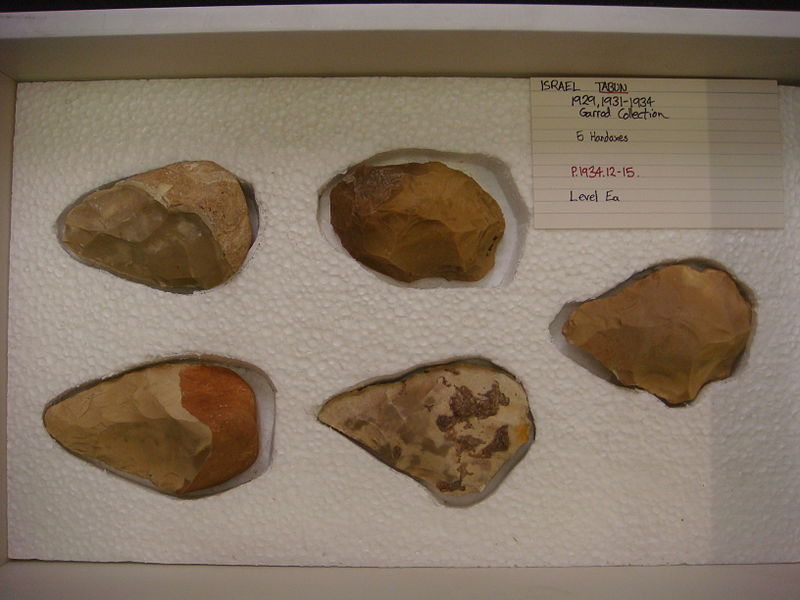 Файл:Handaxes Israel Tabun 1934-12-15 tray.jpg