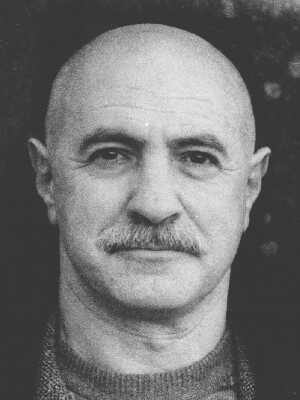 Файл:N Vaiman.jpg