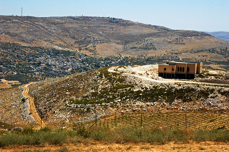 Файл:Ицхар виноградник.jpg