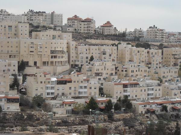 Файл:Писгат Зеев.jpg