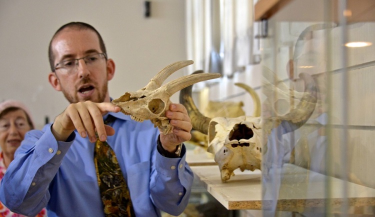 Файл:Музей естественной истории.jpg