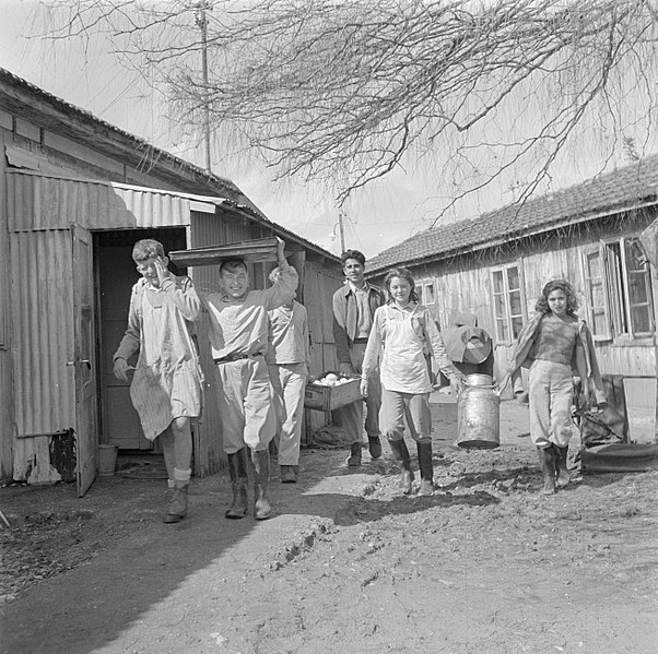 Файл:Jongeren verrichten sjouwwerkzaamheden ten behoeve van de gemeenschap, Bestanddeelnr 255-0650.jpg