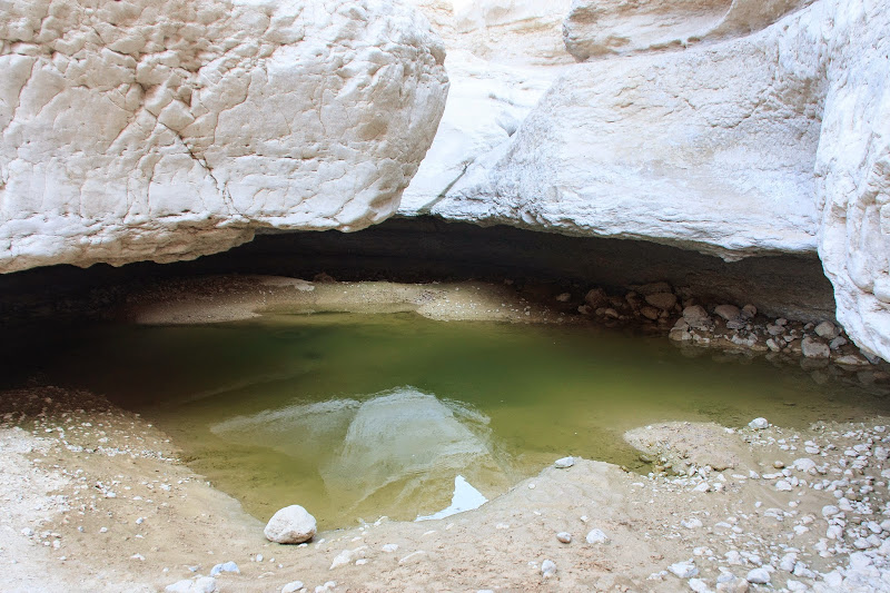 Файл:Ручей Хевер.jpg