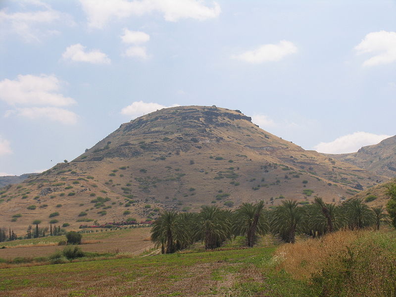 Файл:Hippos od strony Jeziora.jpg