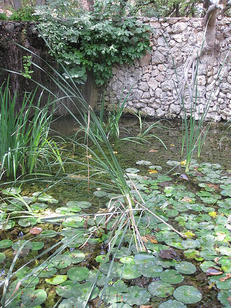 Файл:Har Hatsofim IMG 7787.jpg