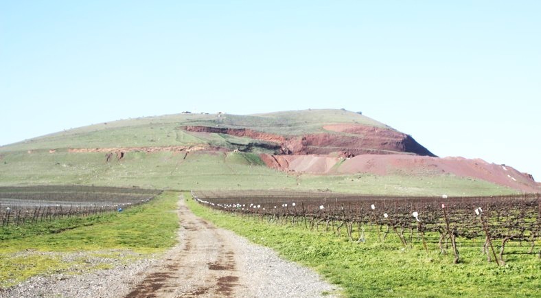 Файл:Golan JAN10 028.jpg