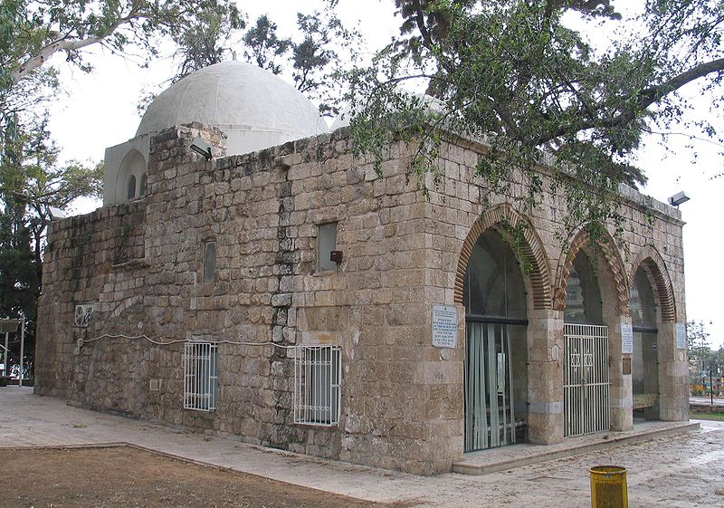 Файл:Yavne 599.jpg
