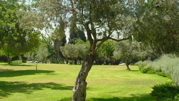 Файл:Парк Независимости.jpg