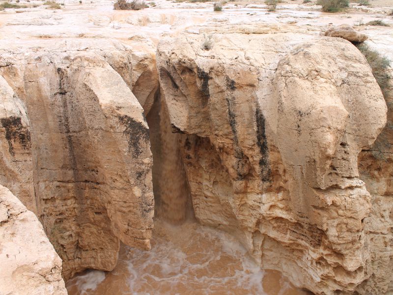 Файл:Эйн Йоркеам.jpg