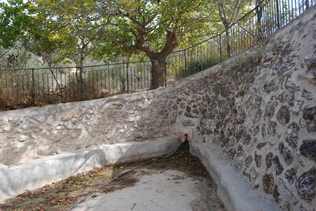 Файл:Эйн Хание.jpg