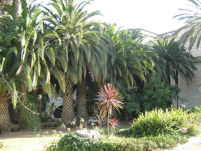 Файл:Manaster Benedictin4.jpg