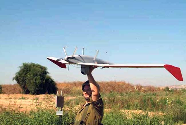 Файл:Bird Eye 400.jpg