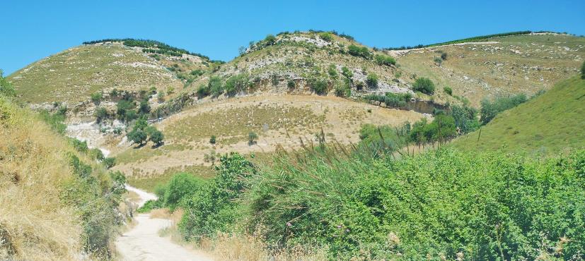 Окрестности Гуш-Халав, 2023. Фото Гарри Резниковского.