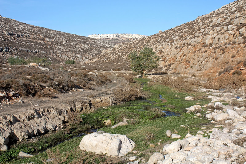 Файл:Вади Михмаш.jpg