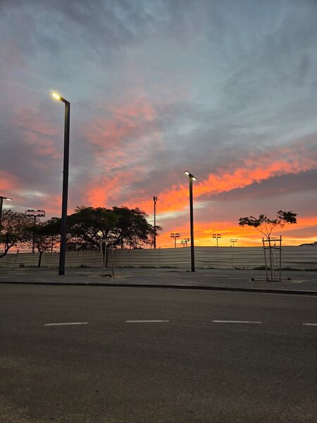 Файл:Утро в Лоде 2025.jpg