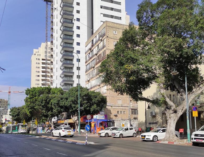 Улица Герцля в Реховоте, ноябрь 2024 г.