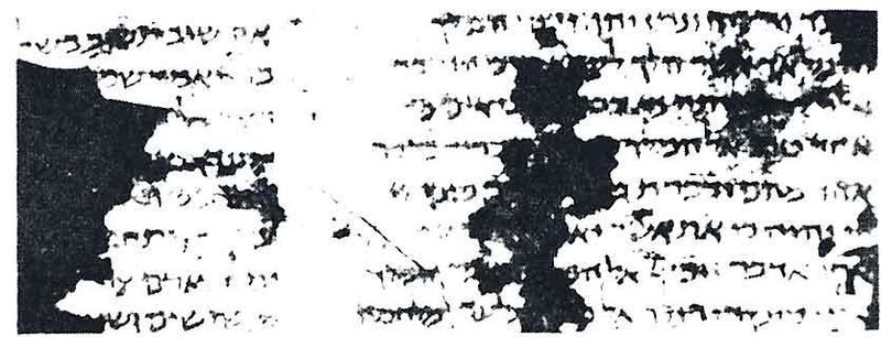 Файл:1312834 L.JPG