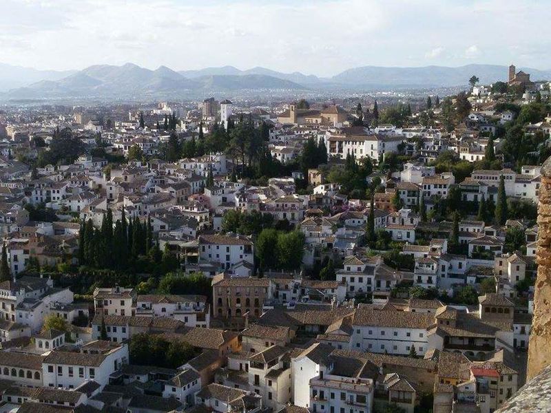 Файл:11295 L.jpg