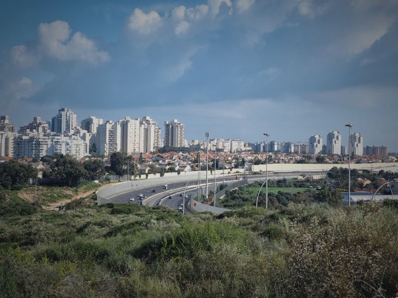 Нетания в феврале 2024 г. Фото Ларисы Беренштейн.