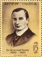 Индийская почтовая марка в честь доктора Хавкина.