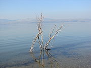 Галилейское море