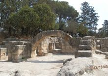 Развалины синагоги. Фото д-ра Александра Луговского.