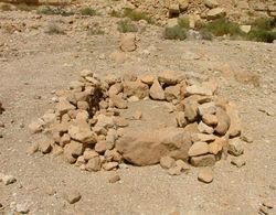 Старинная ловушка на леопарда. (с) Фото Михаила Туваля