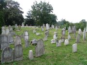 Еврейское кладбище в Особлаге (Чешская Силезия).