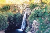 Водопад на Голанах.