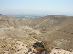 Вид из поселения