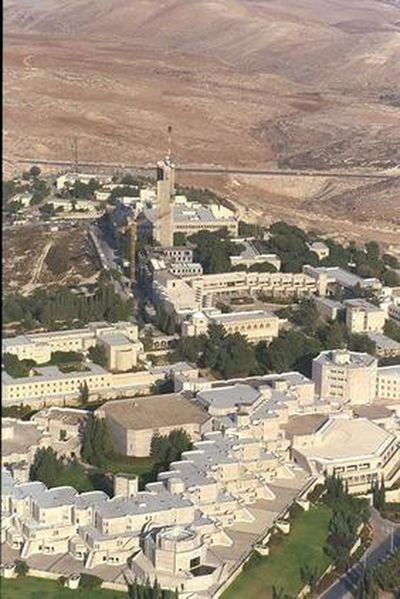 Файл:11517 L3.JPG