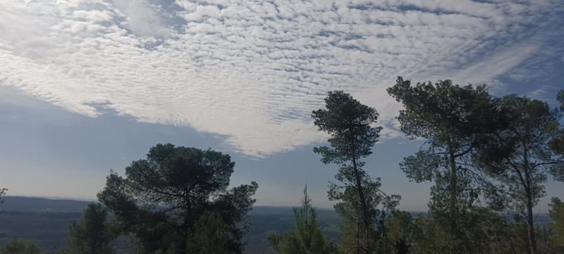 Файл:Яар h-магеним.jpg