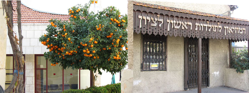 Файл:Исторический музей Р л Ц.jpg