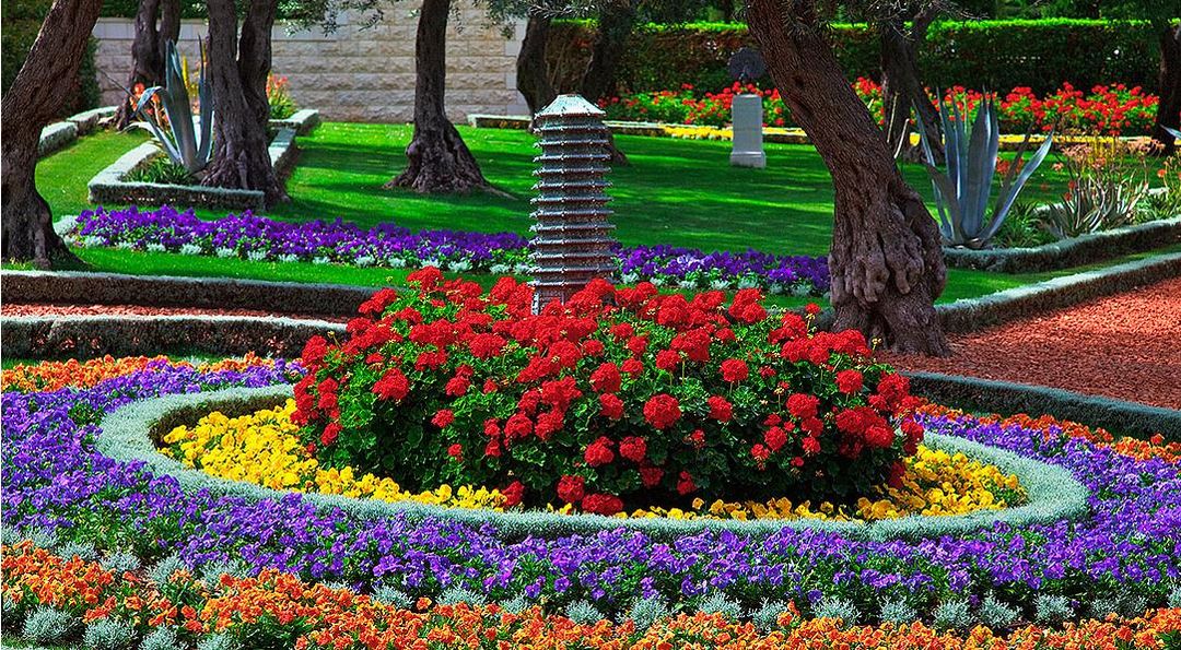 В бахайском саду в Хайфе.