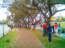 Праздник в Шаарей-Тиква, 2014 год.