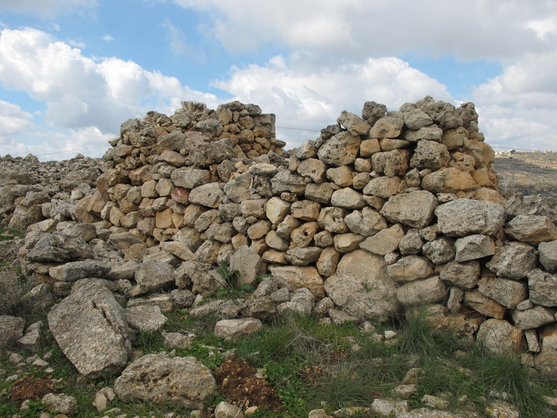 Файл:201202 GZeev 7391.JPG