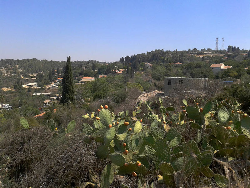 Файл:Бейт Меир.jpg