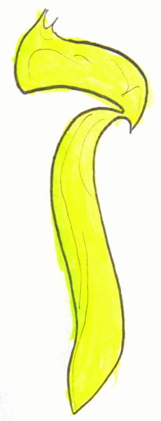 Файл:Зайн (рисунок).jpeg