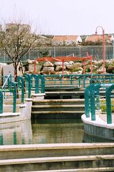 Водный парк в Ариэле, март 2010 г.