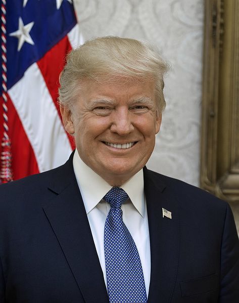 Файл:Donald Trump official portrait.jpg