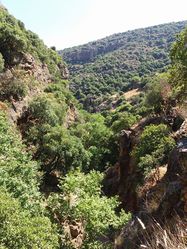 Нахаль Амуд. Фото Вадима Бугаенко.