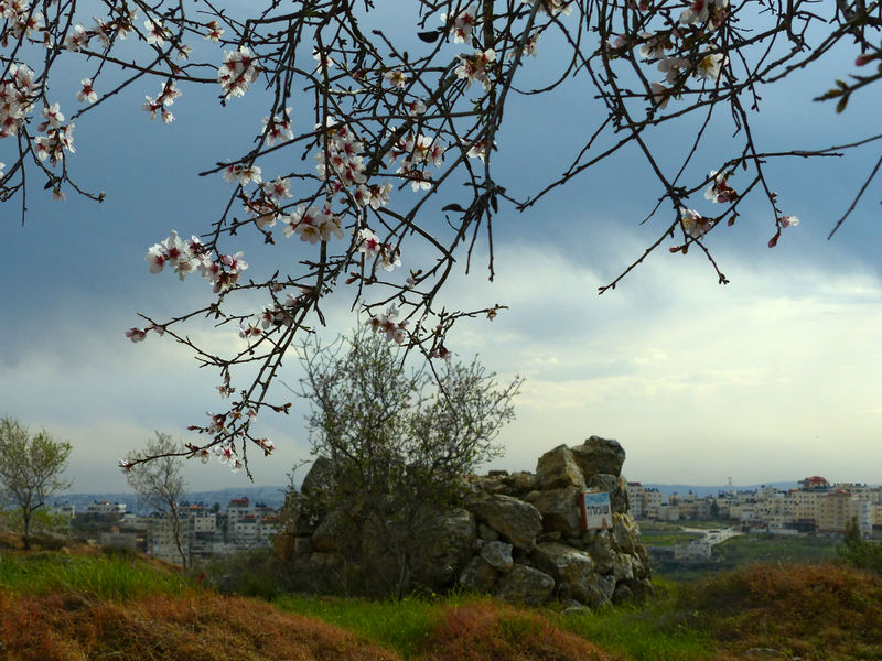 Файл:M11 20130222 14-02-52 Psagot 0763M.jpg