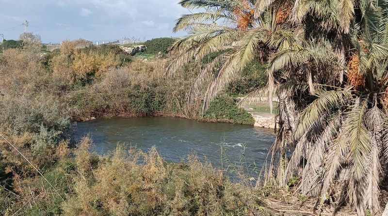 Файл:Нахаль Таниним.jpg