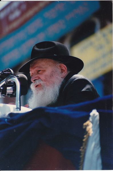 Файл:Rabbi Menachem Mendel Schneerson2.jpg