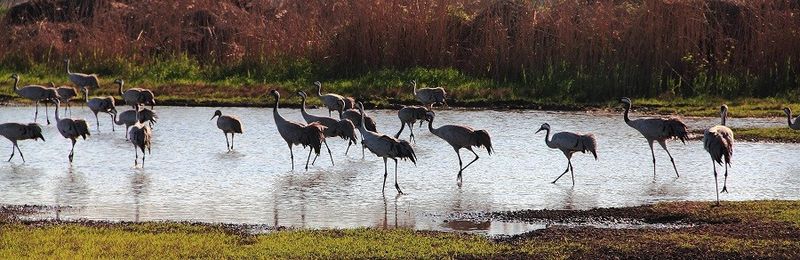 Файл:Природоведческий центр.jpg