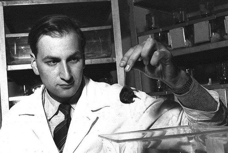 Файл:Leo Sachs1955.jpg